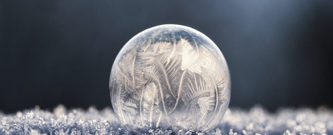 Image is a frozen bubble on frozen grass
